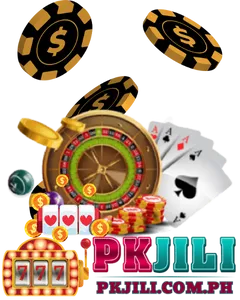 pkjili privacy policy